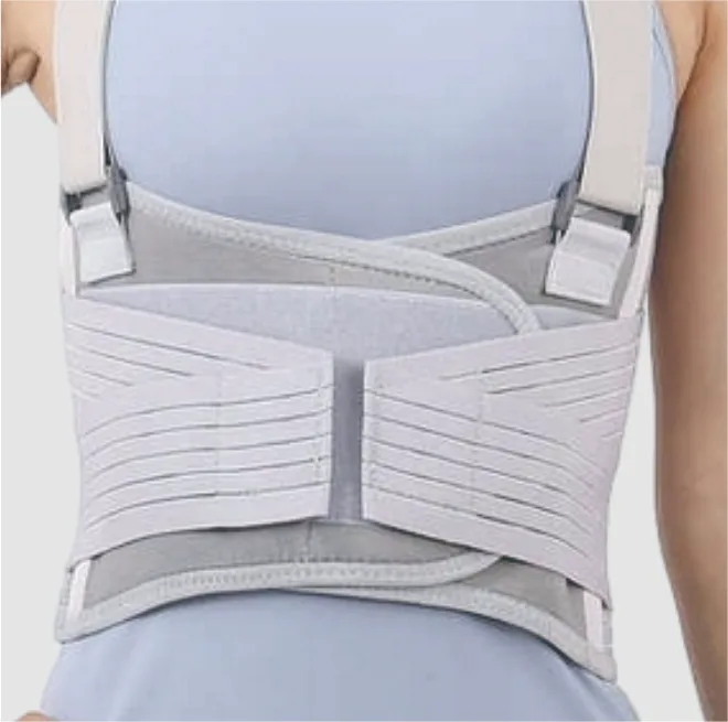 Rib Belt