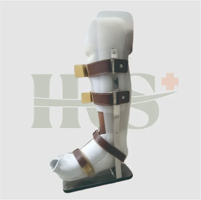 PTB Ankle Foot Orthosis